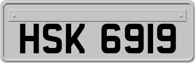 HSK6919