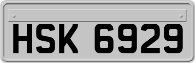 HSK6929