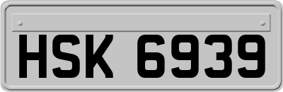 HSK6939