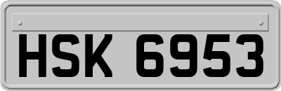 HSK6953