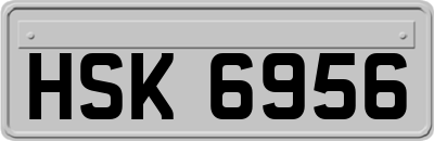 HSK6956