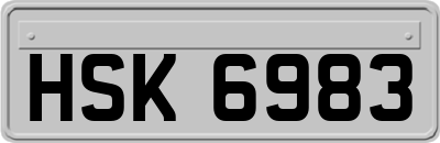 HSK6983