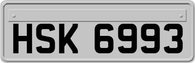 HSK6993