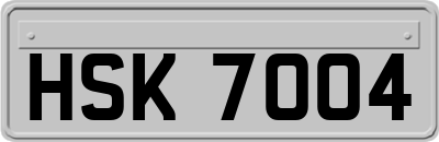 HSK7004