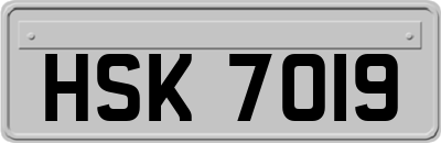HSK7019