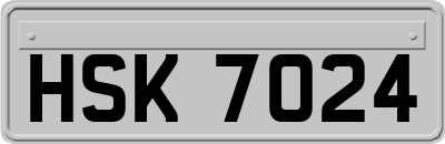 HSK7024