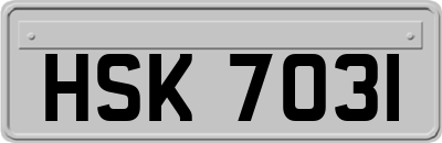 HSK7031