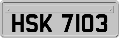 HSK7103