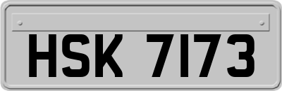HSK7173