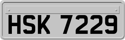 HSK7229