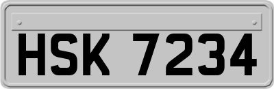 HSK7234