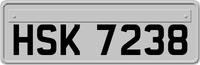 HSK7238
