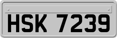 HSK7239