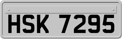 HSK7295