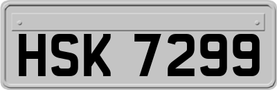 HSK7299