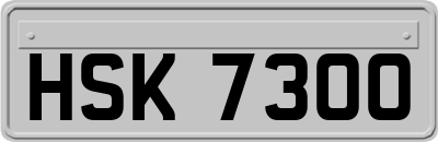 HSK7300