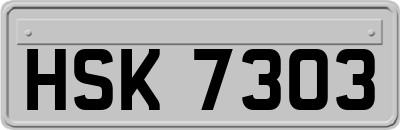 HSK7303