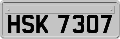 HSK7307