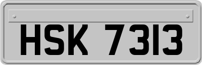 HSK7313