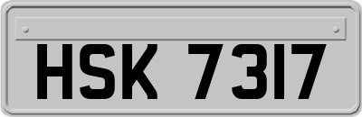 HSK7317