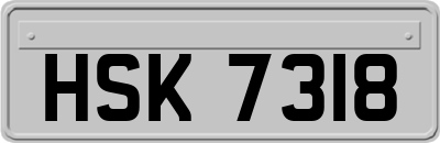 HSK7318