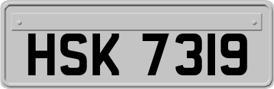 HSK7319