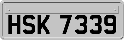 HSK7339