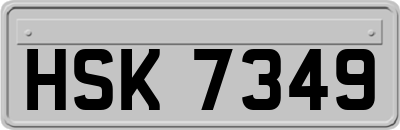 HSK7349