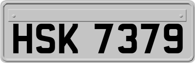 HSK7379