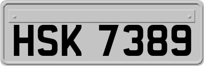HSK7389