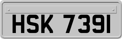 HSK7391