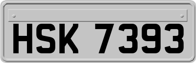 HSK7393