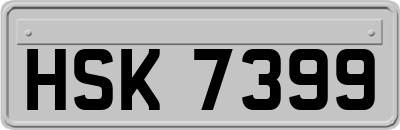 HSK7399