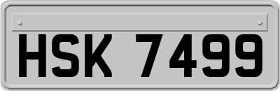 HSK7499