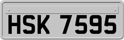 HSK7595