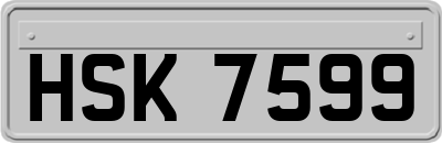 HSK7599