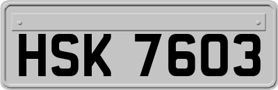 HSK7603
