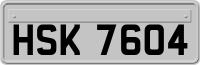 HSK7604
