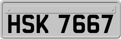 HSK7667