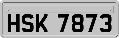 HSK7873