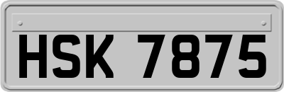 HSK7875