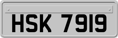 HSK7919