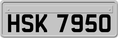HSK7950