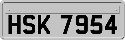 HSK7954