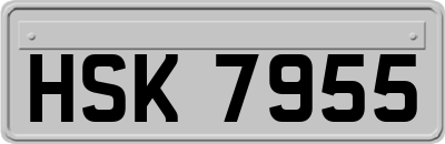 HSK7955