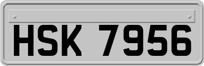 HSK7956