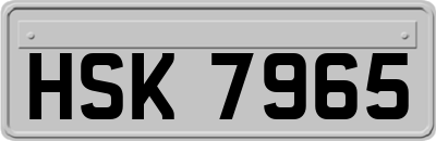 HSK7965