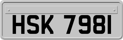 HSK7981