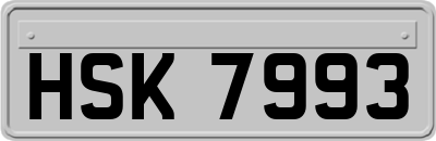 HSK7993