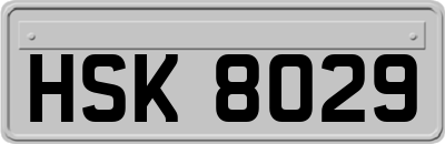HSK8029